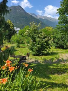 Blumen im Ausbildungsgarten in Innsbruck