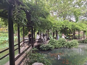 Chinesischer Garten mit einem kleinen Teich und einer Brücke