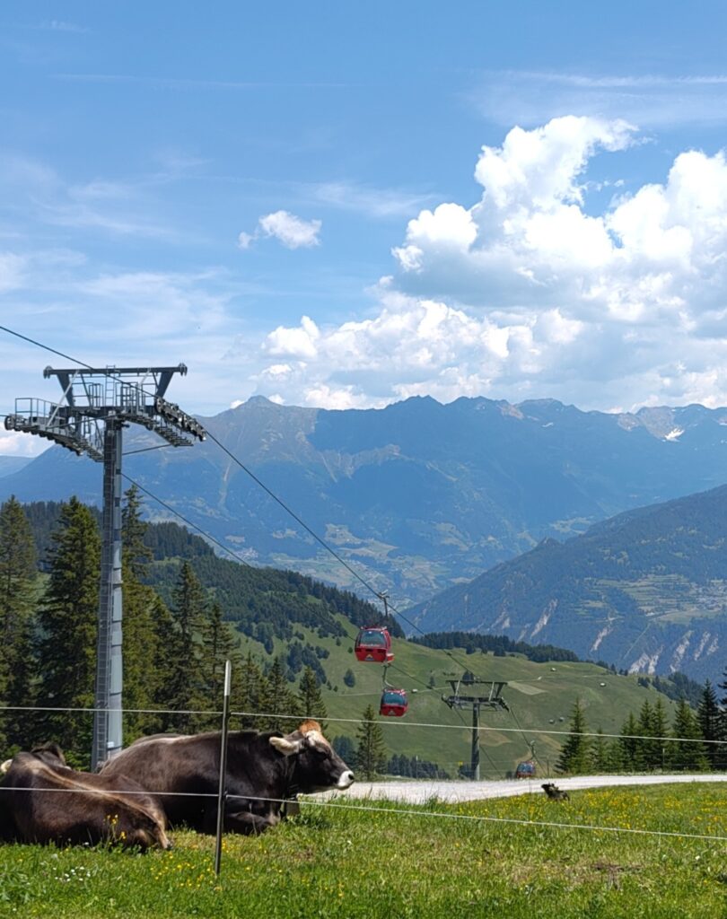 Gondeln der Alpkopfbahn